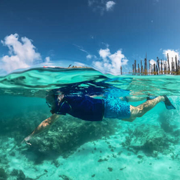 Diving in the lagoon of New Caledonia