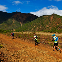 Transcaledonienne race in New Caledonia